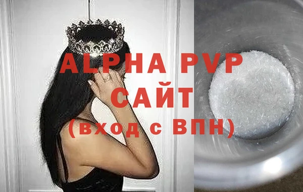 спиды Белокуриха